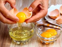 yumurta akı protein değeri