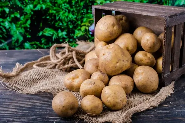 výhody zemiakov